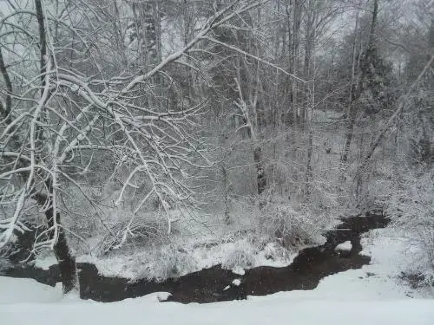 1810 House Bed & Breakfast