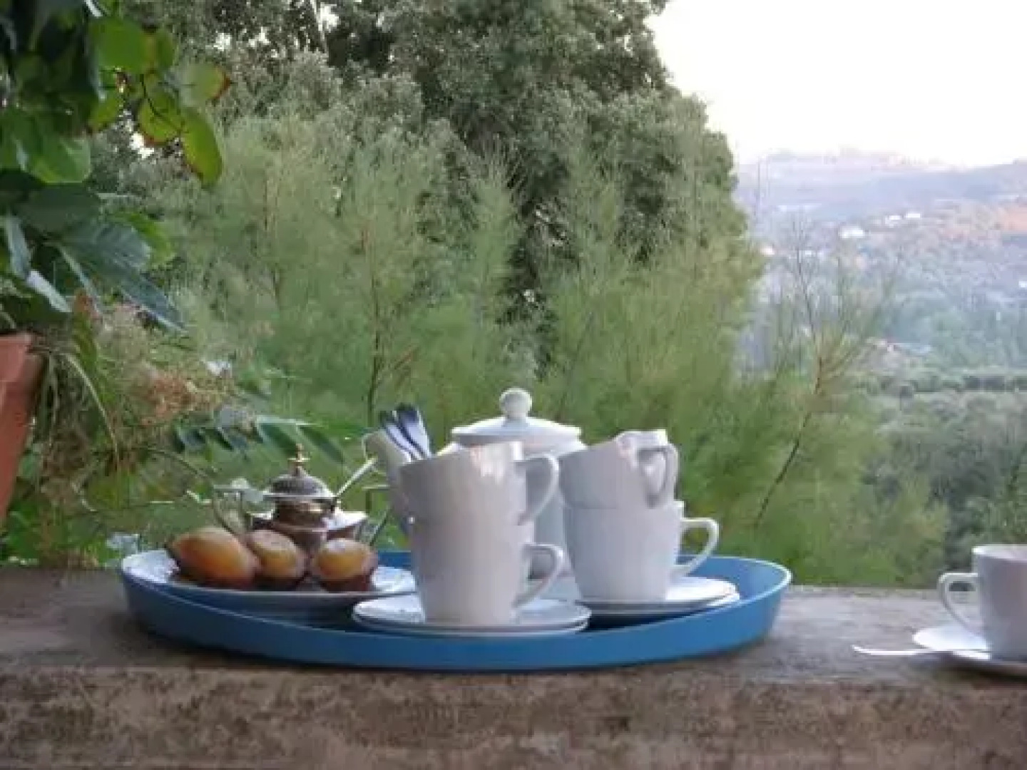 Quinta da Casa Velha Agroturismo