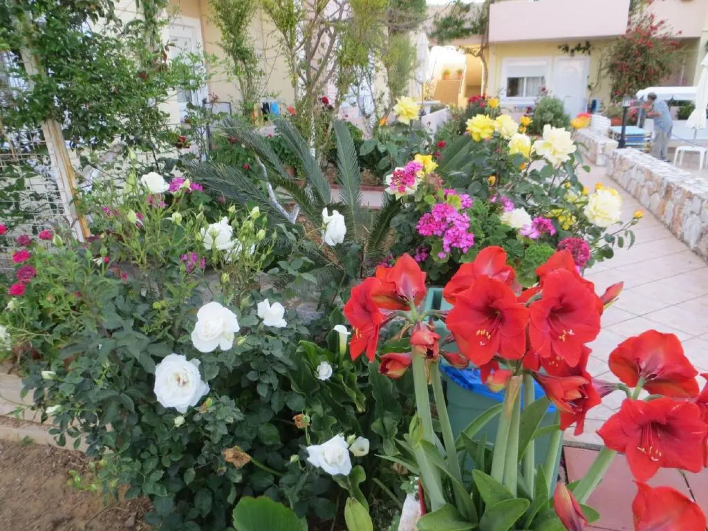 Mariliana Hotel
