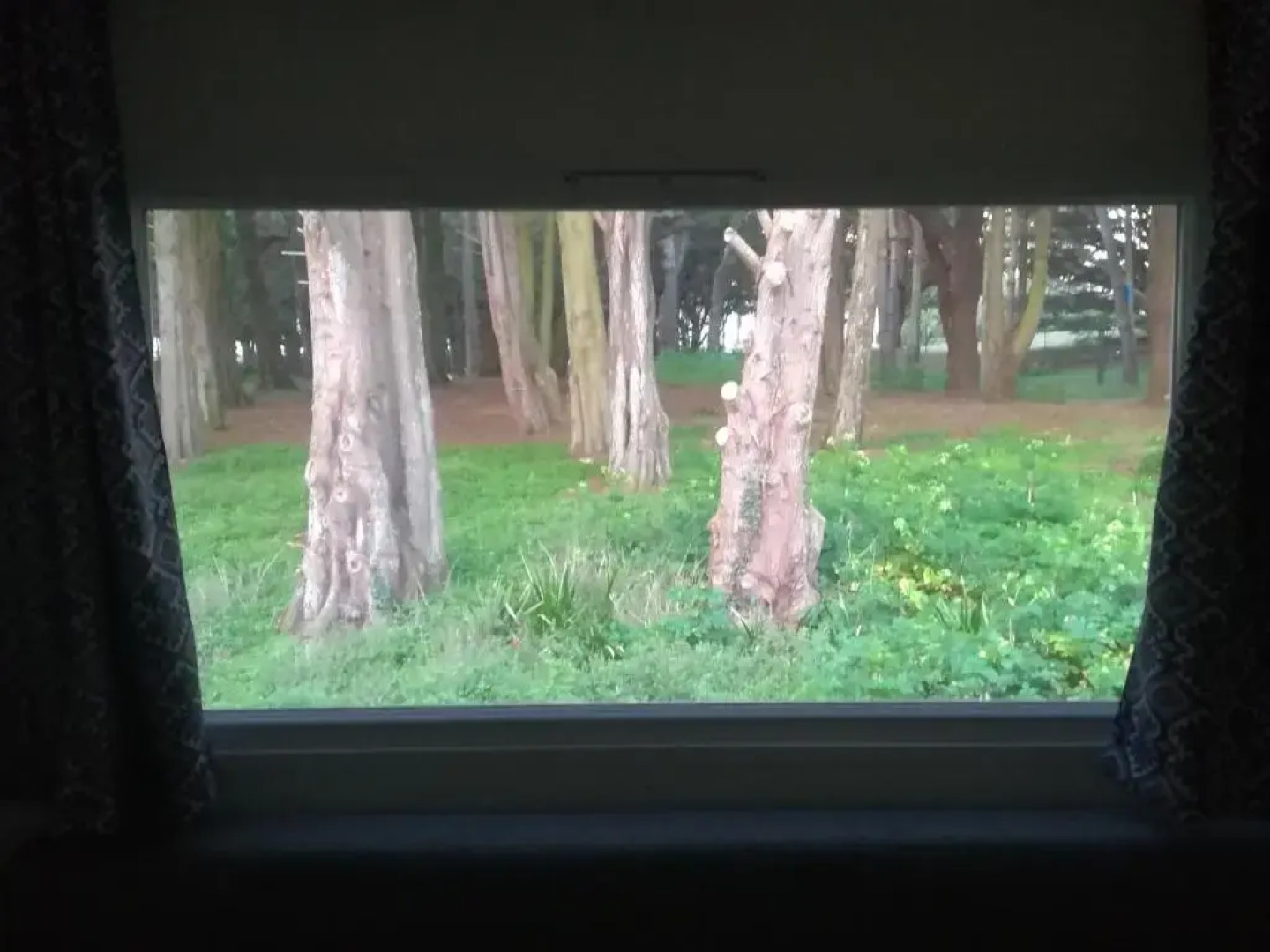 MOBIL HOME à QUIBERON 205