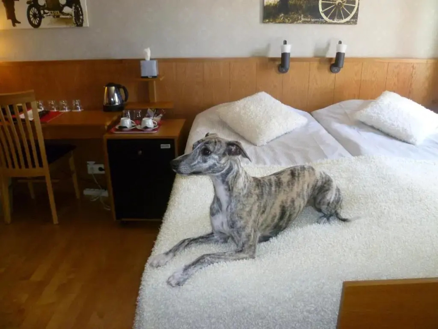 Sankt Olof Hotell & Krog