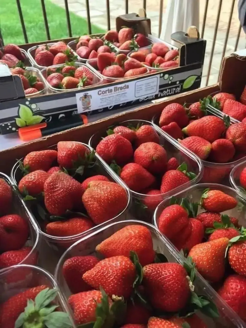 Corte Breda Agriturismo Bed & Breakfast