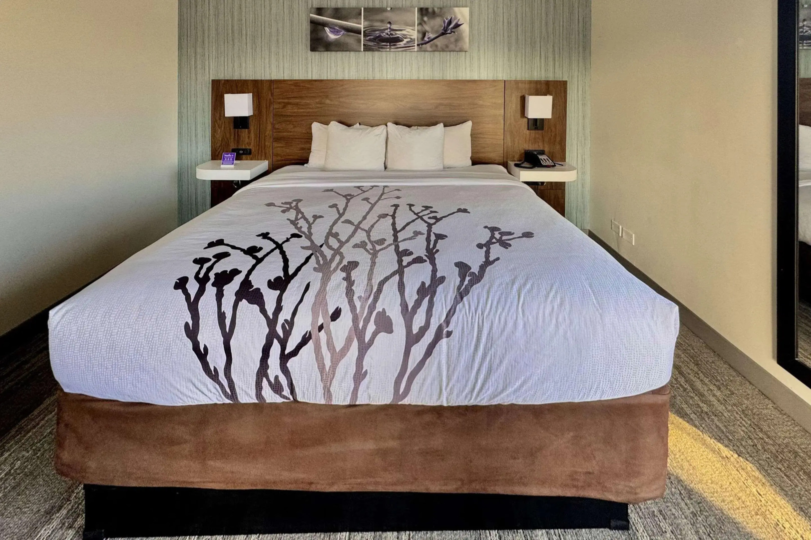 Sleep Inn Oakbrook Terrace - Chicago