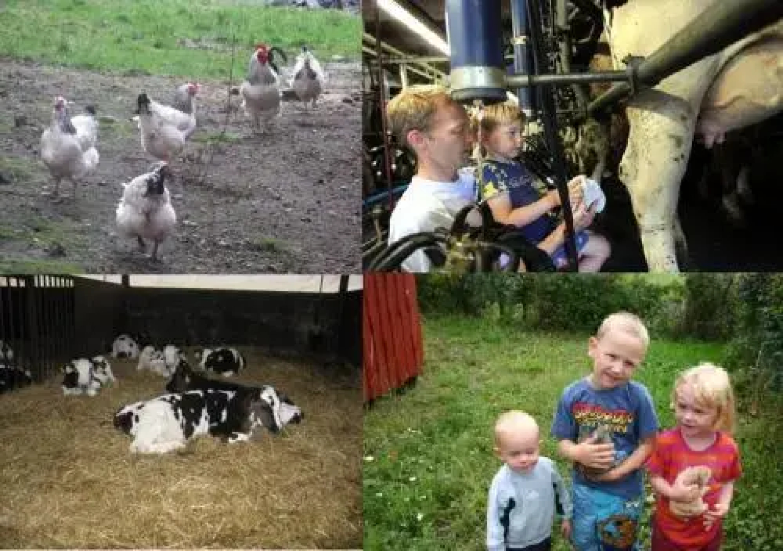 Hveddegaard Farm Holiday