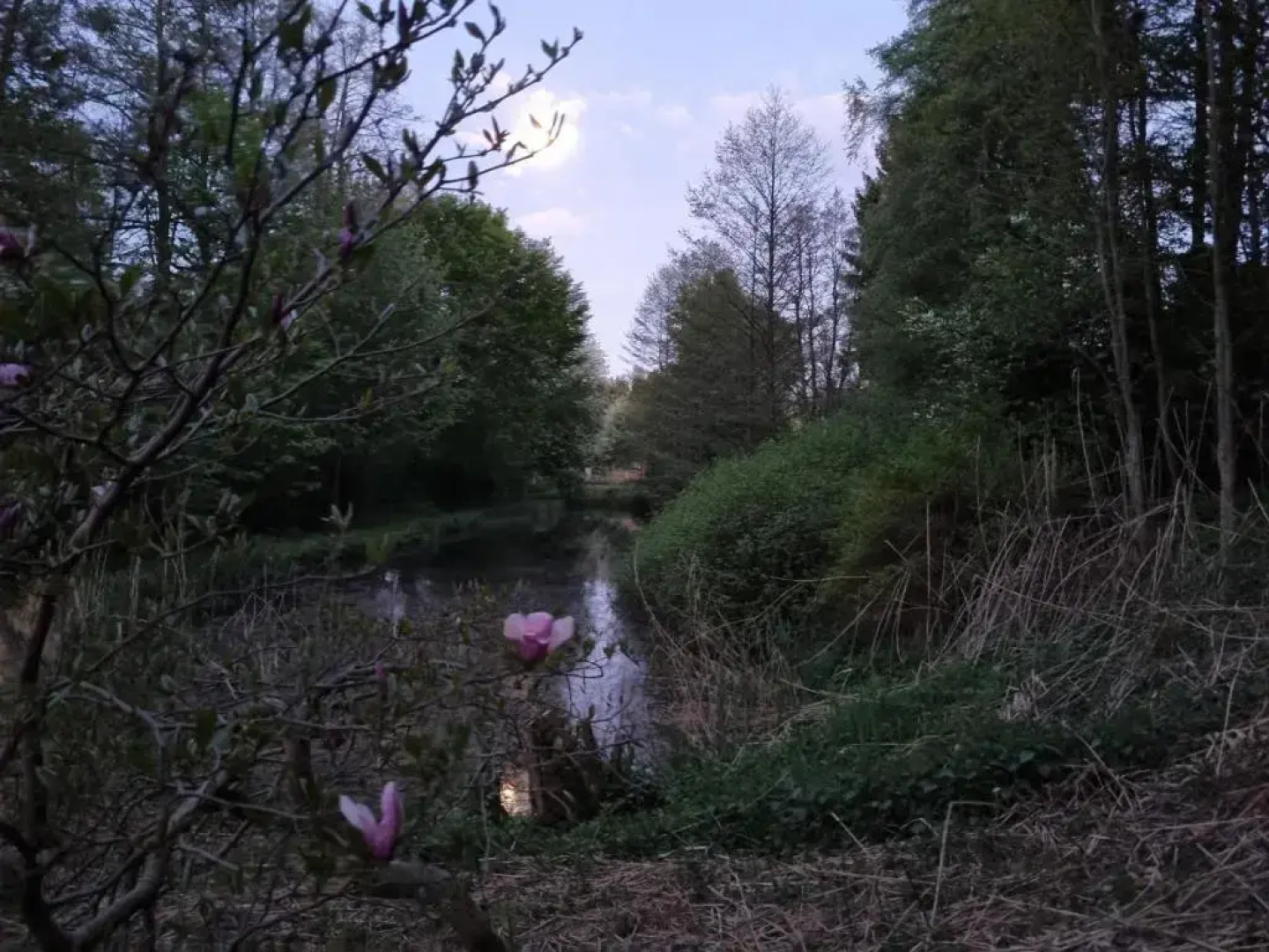 Ferienwohnung Dietel