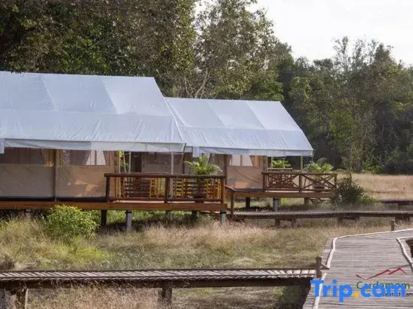 Cardamom Tented Camp