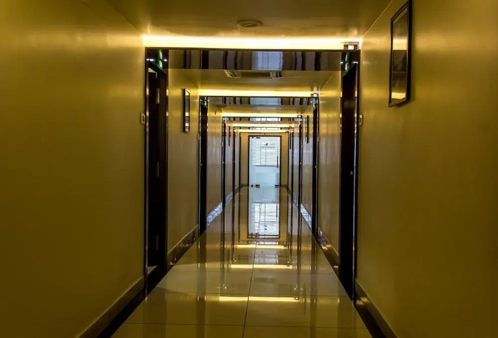 OYO 1302 Hotel Green Apple