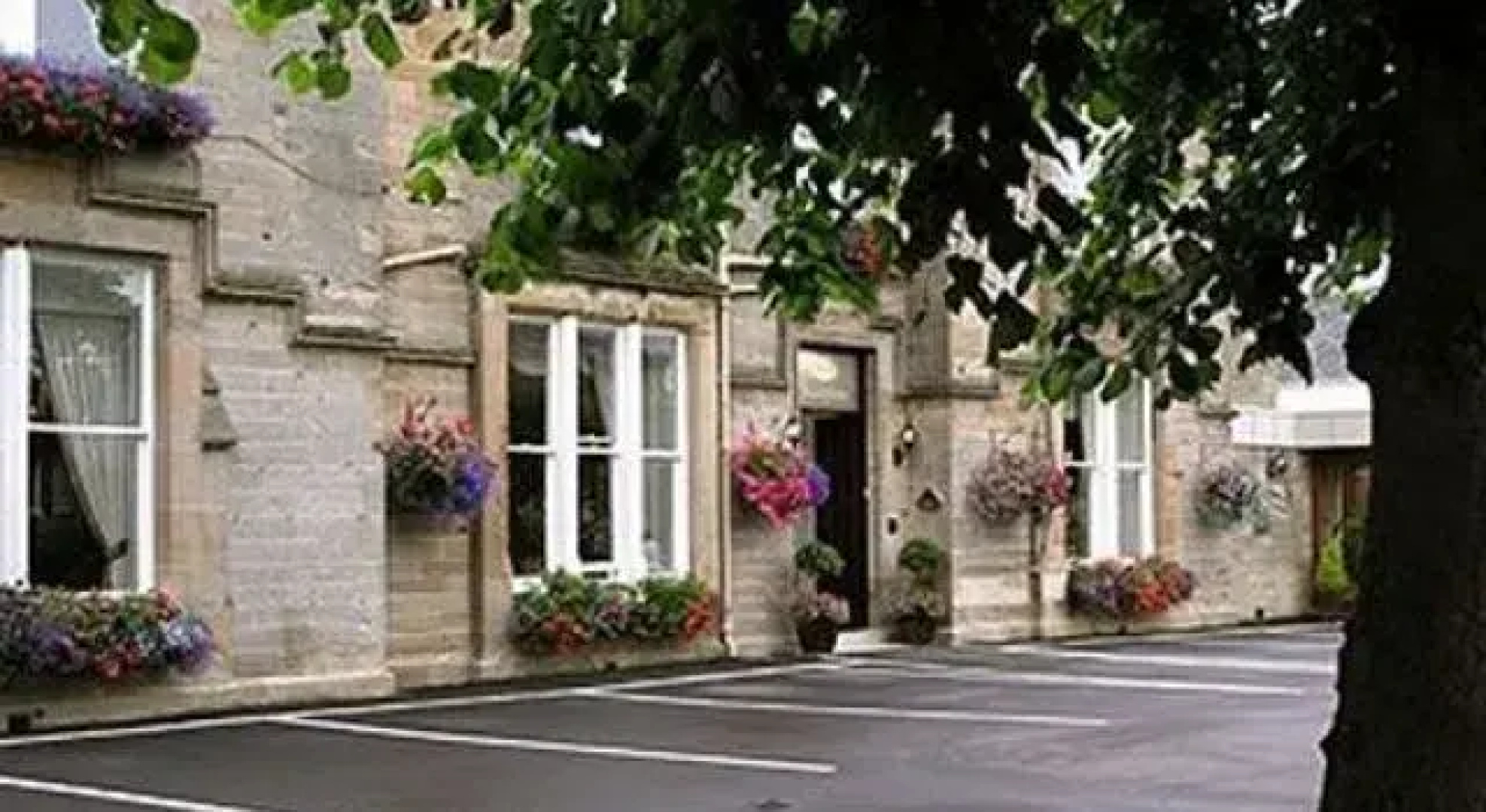 The Fox & Willow
