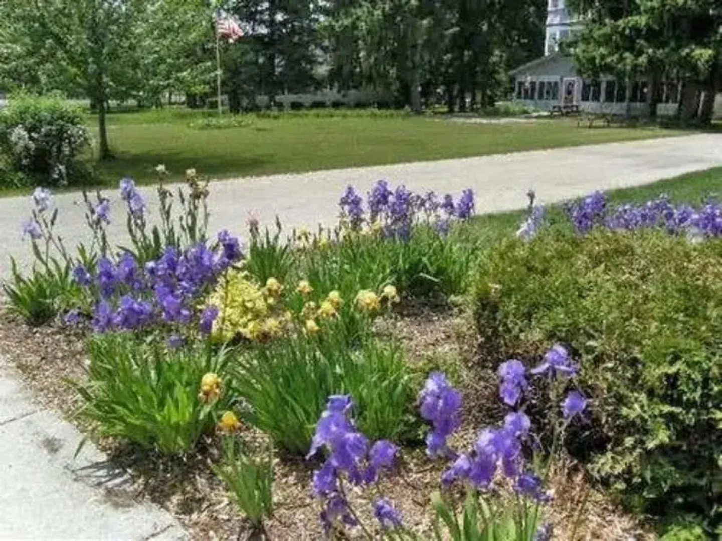 Lindsay House Bed and Breakfast