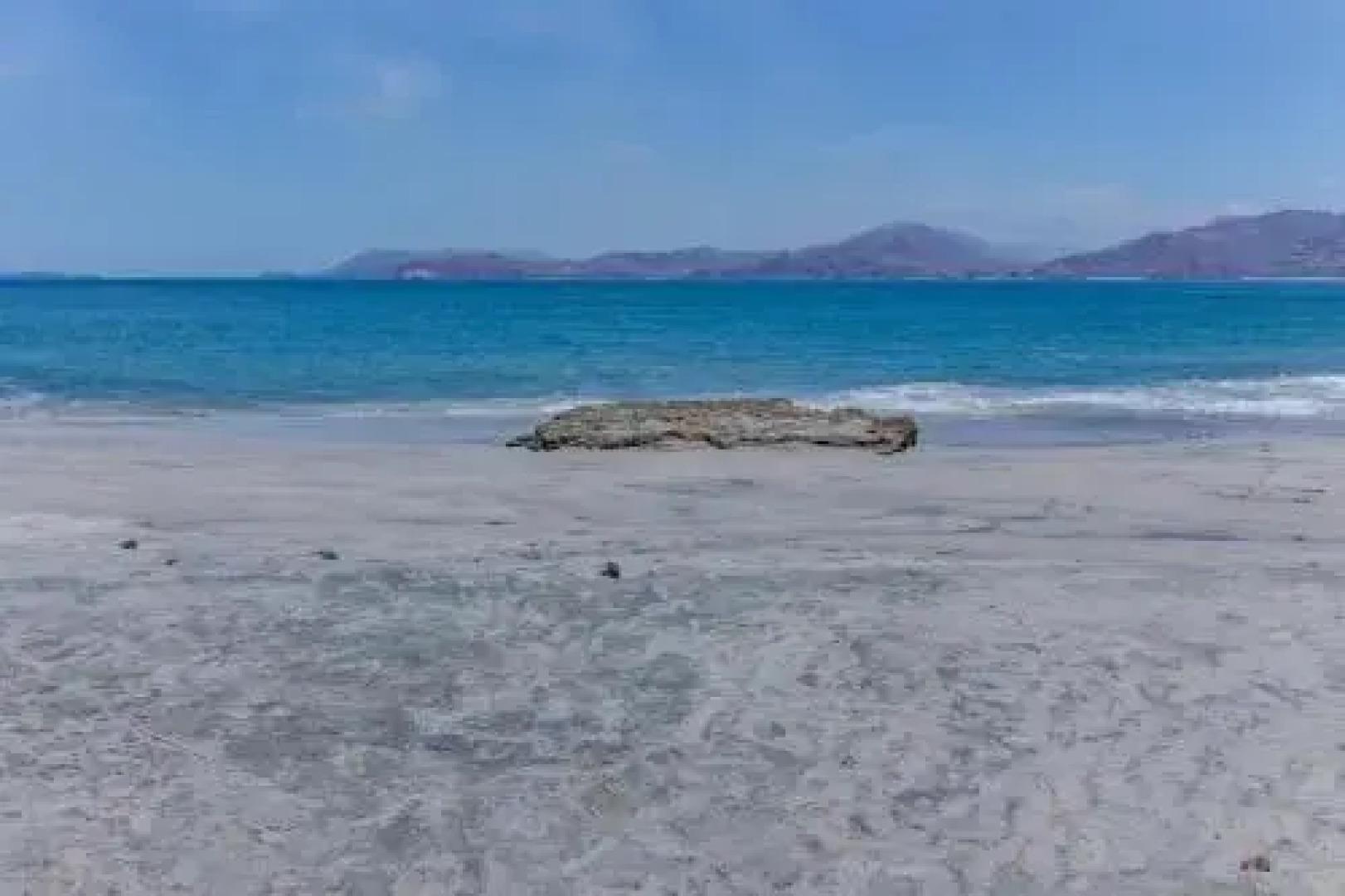 Flamingo Marina Resort 407