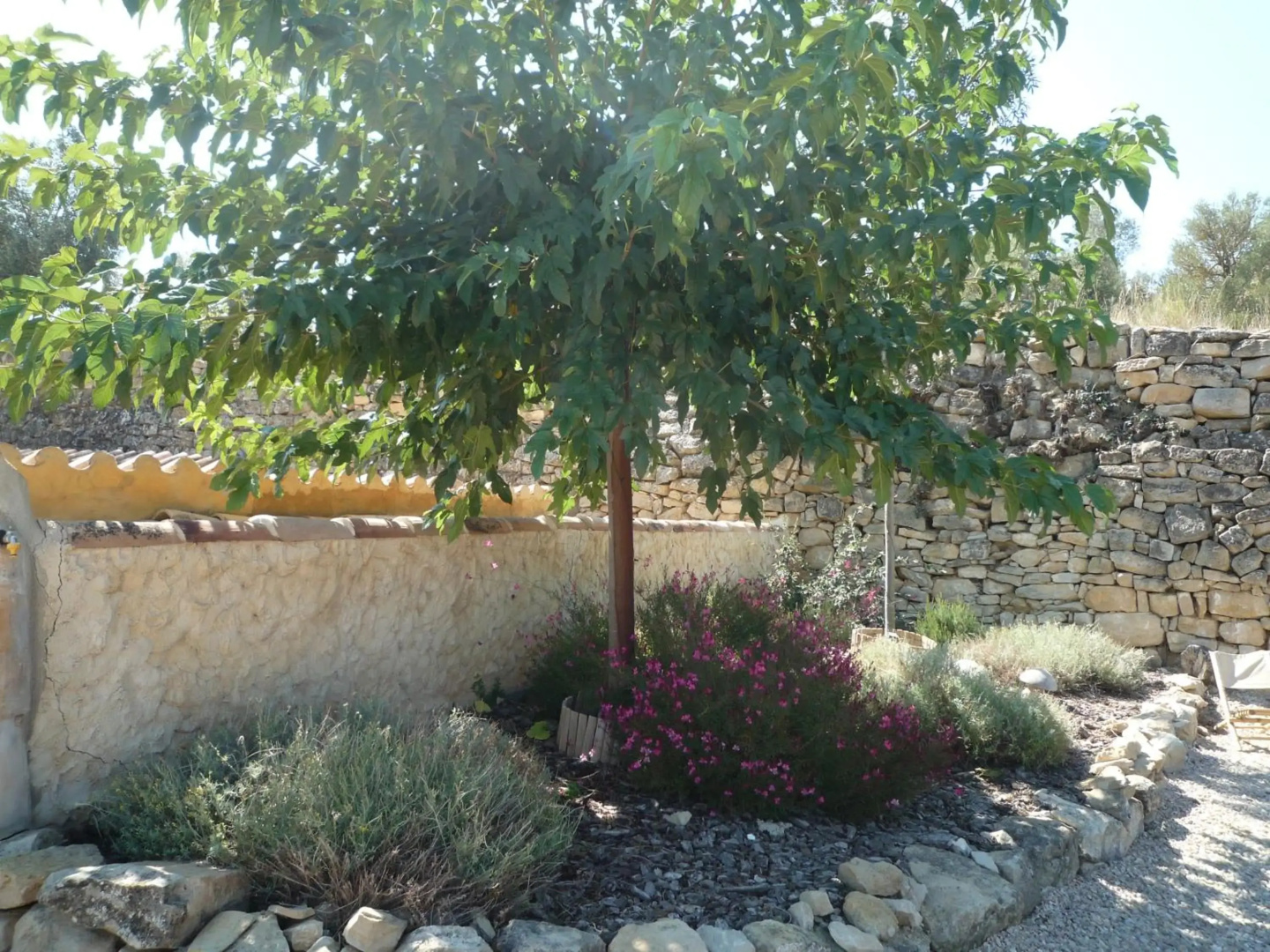 Hort de L'Aubert