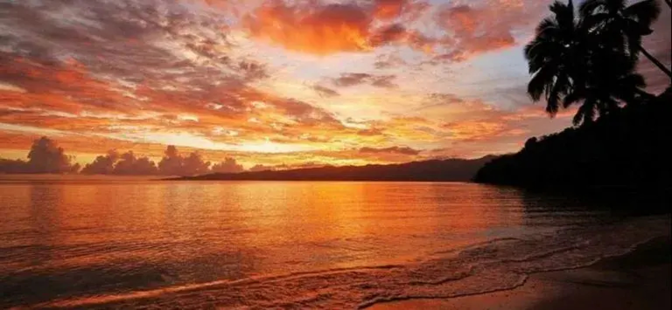 Dolphin Bay Divers Bungalow