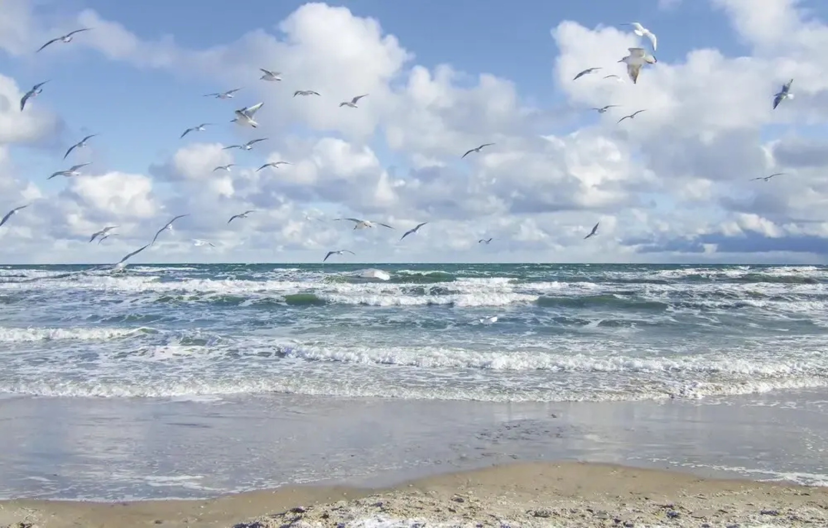 Beautiful Apartment in Hohen Wieschendorf With 1 Bedrooms and Wifi