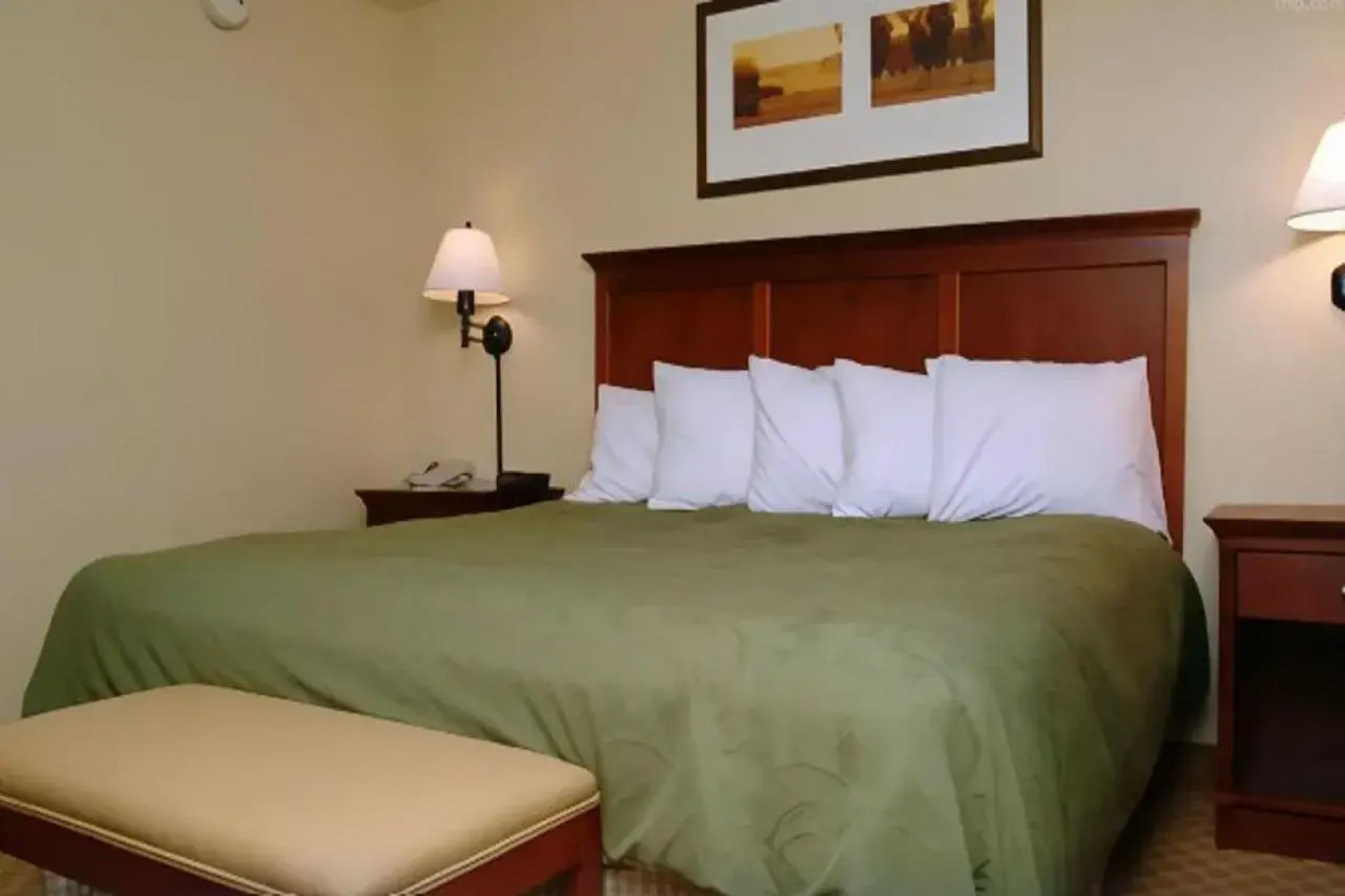 Country Inn & Suites by Radisson, Birch Run-Frankenmuth, MI