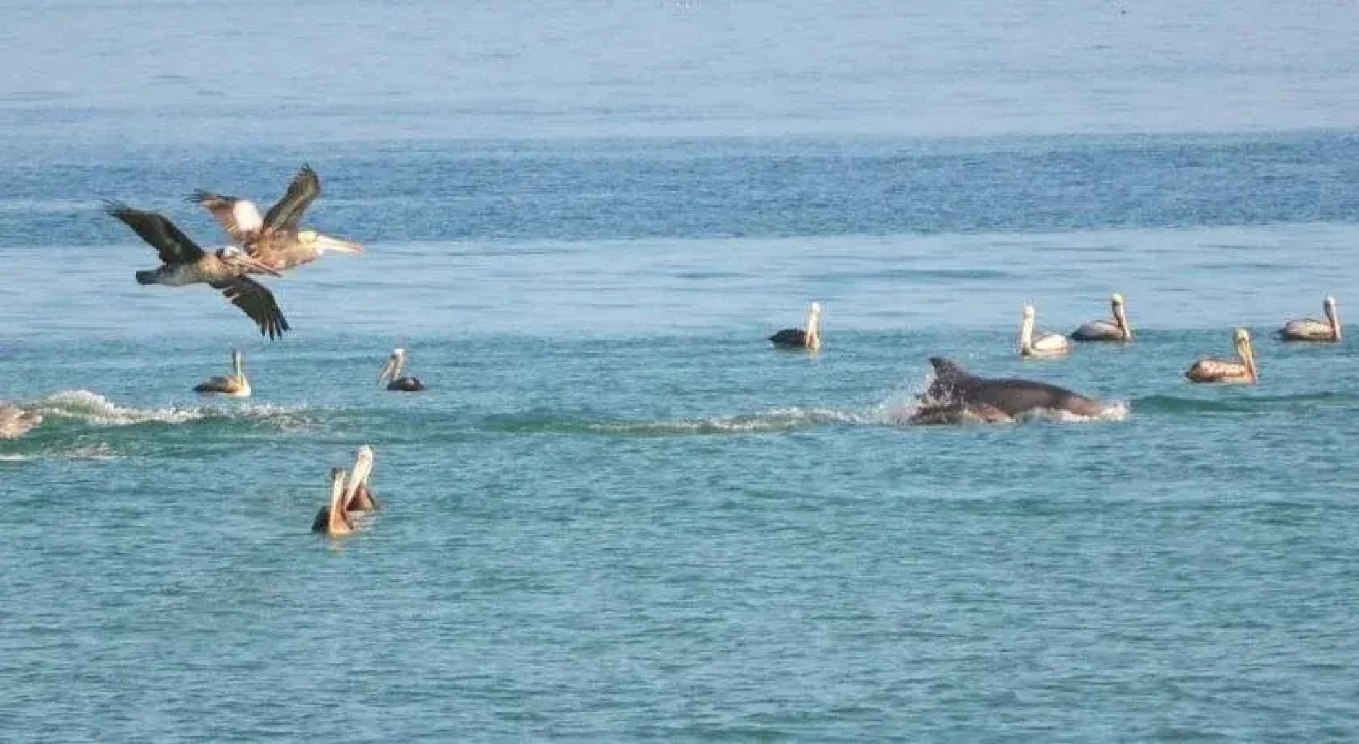 Punta Mero Eco Suites