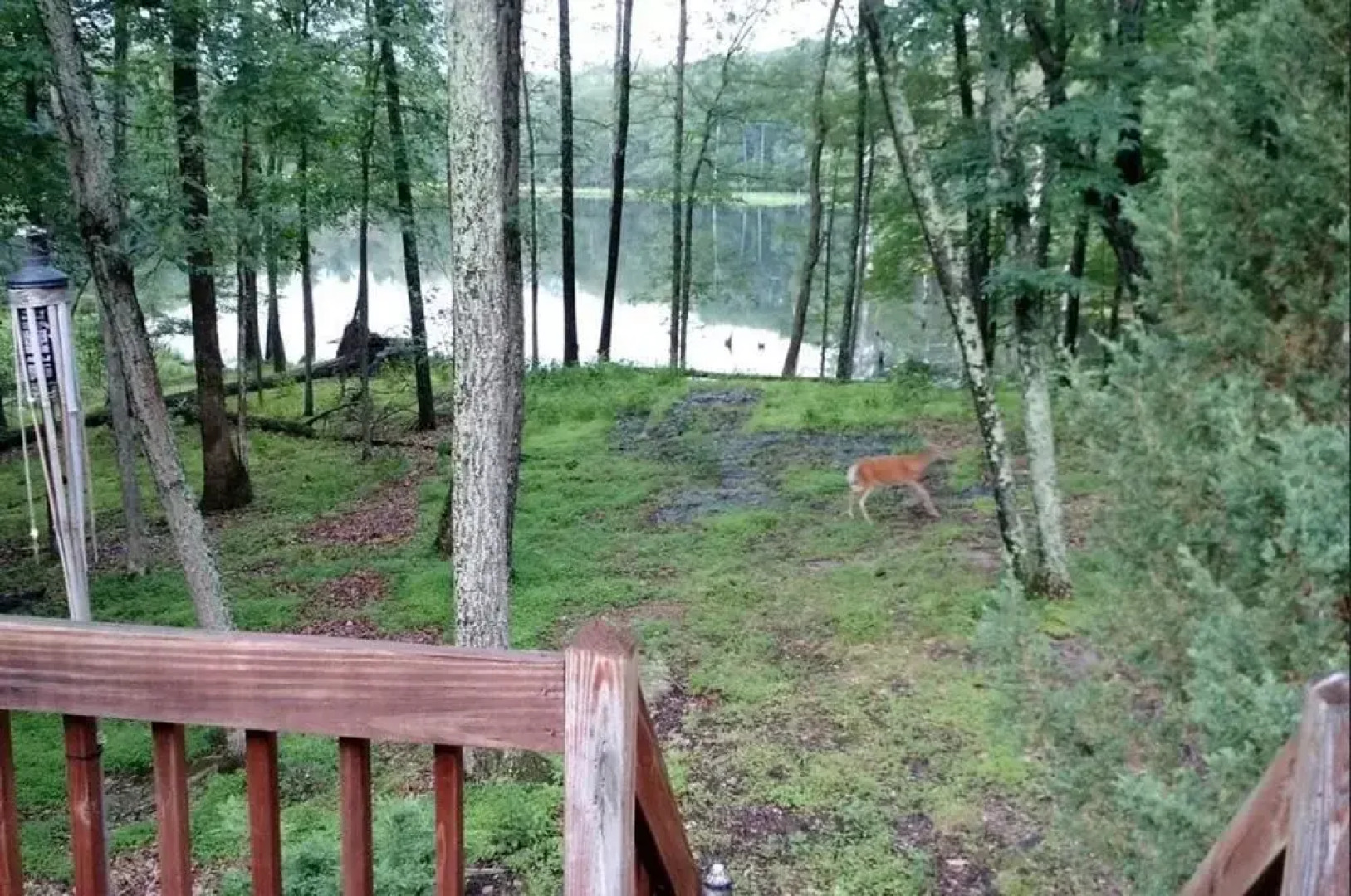 The Spice of the Poconosemai