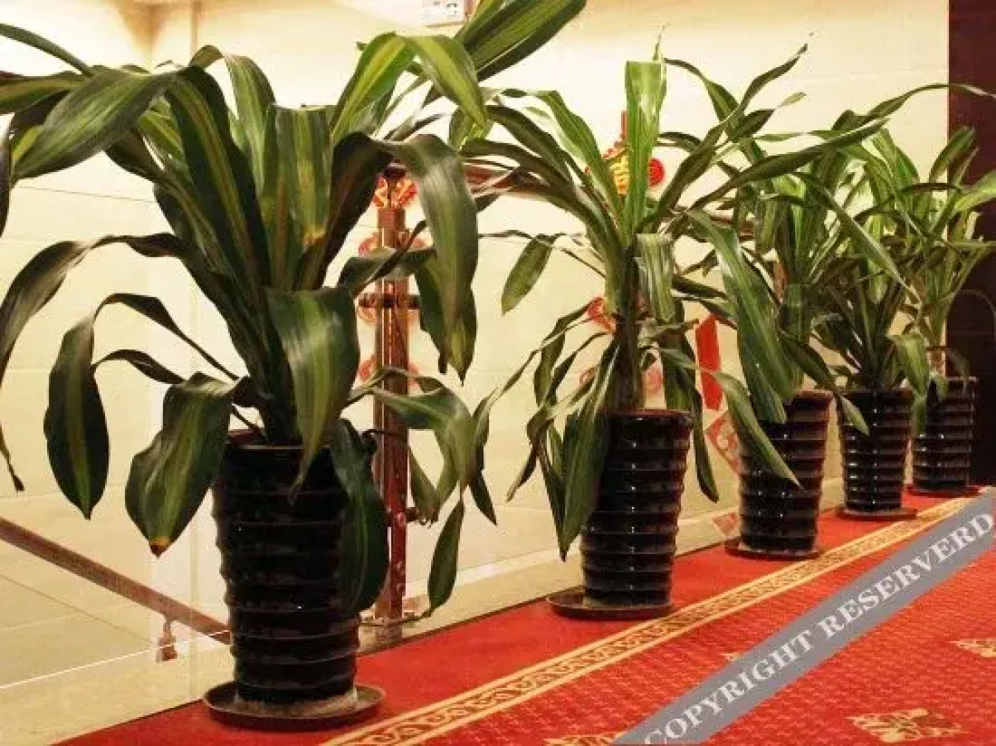 Yingfeng Hotel