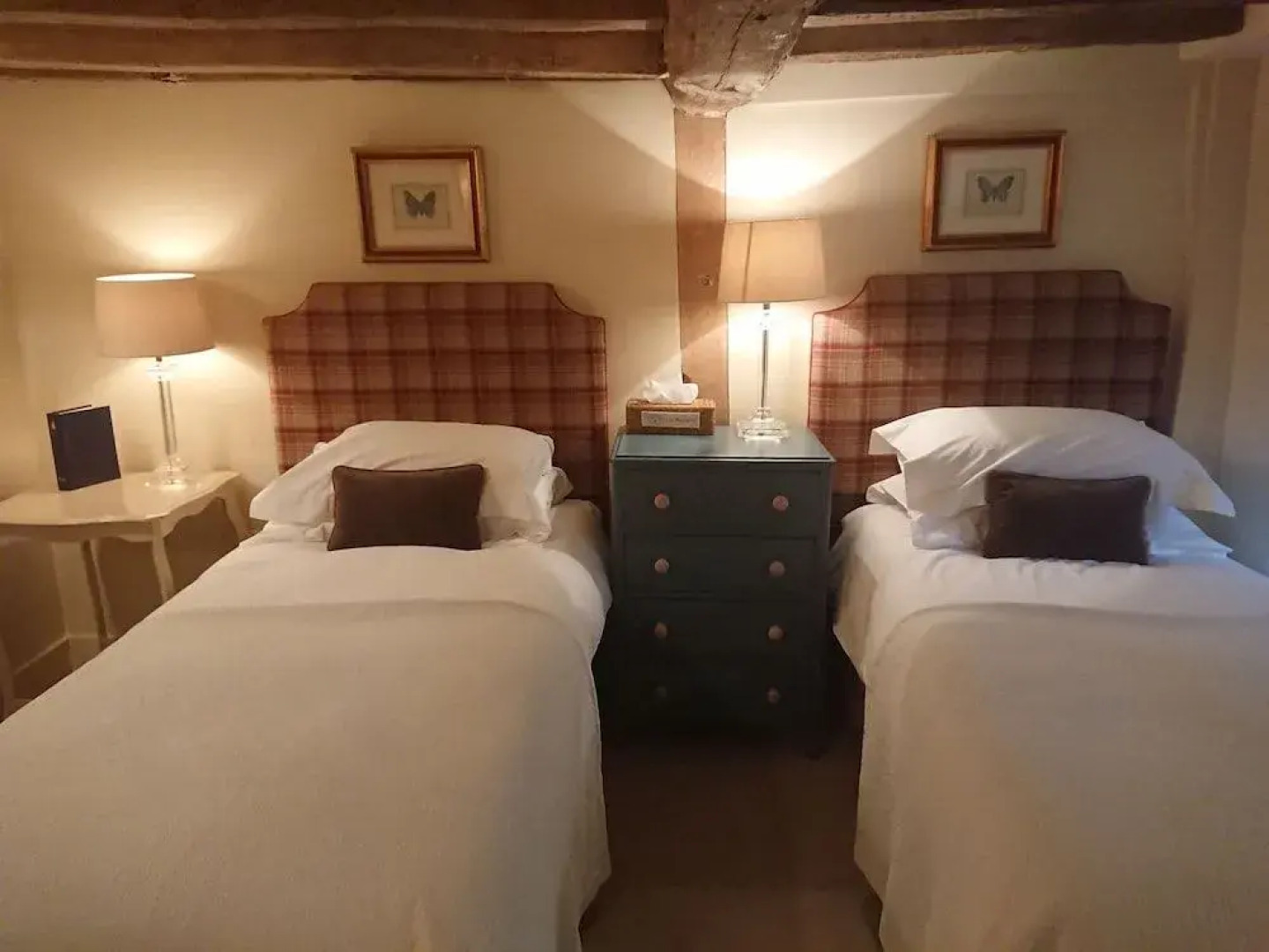 Patience - Tiger Inn