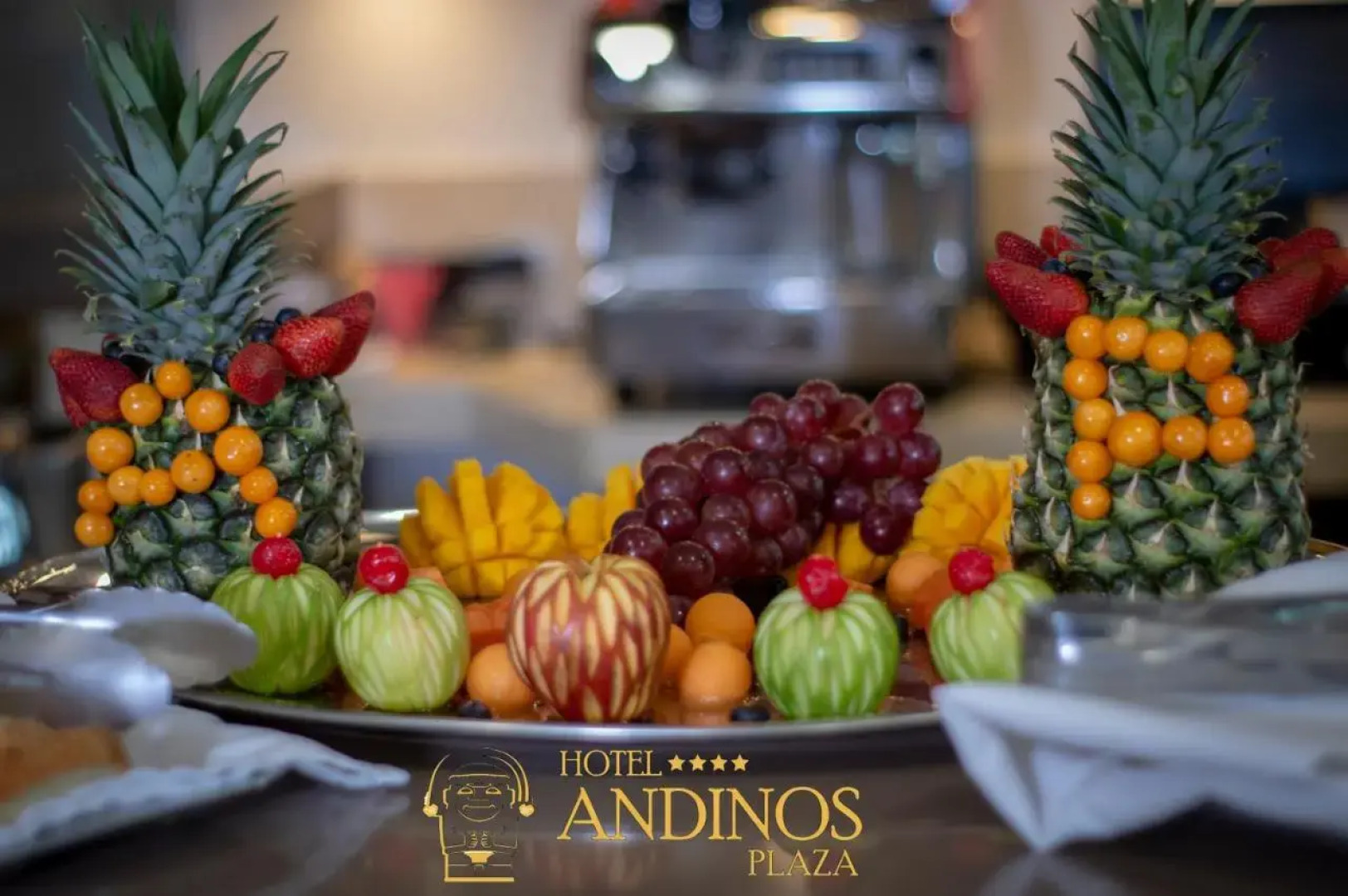 Hotel Andinos Plaza Florencia