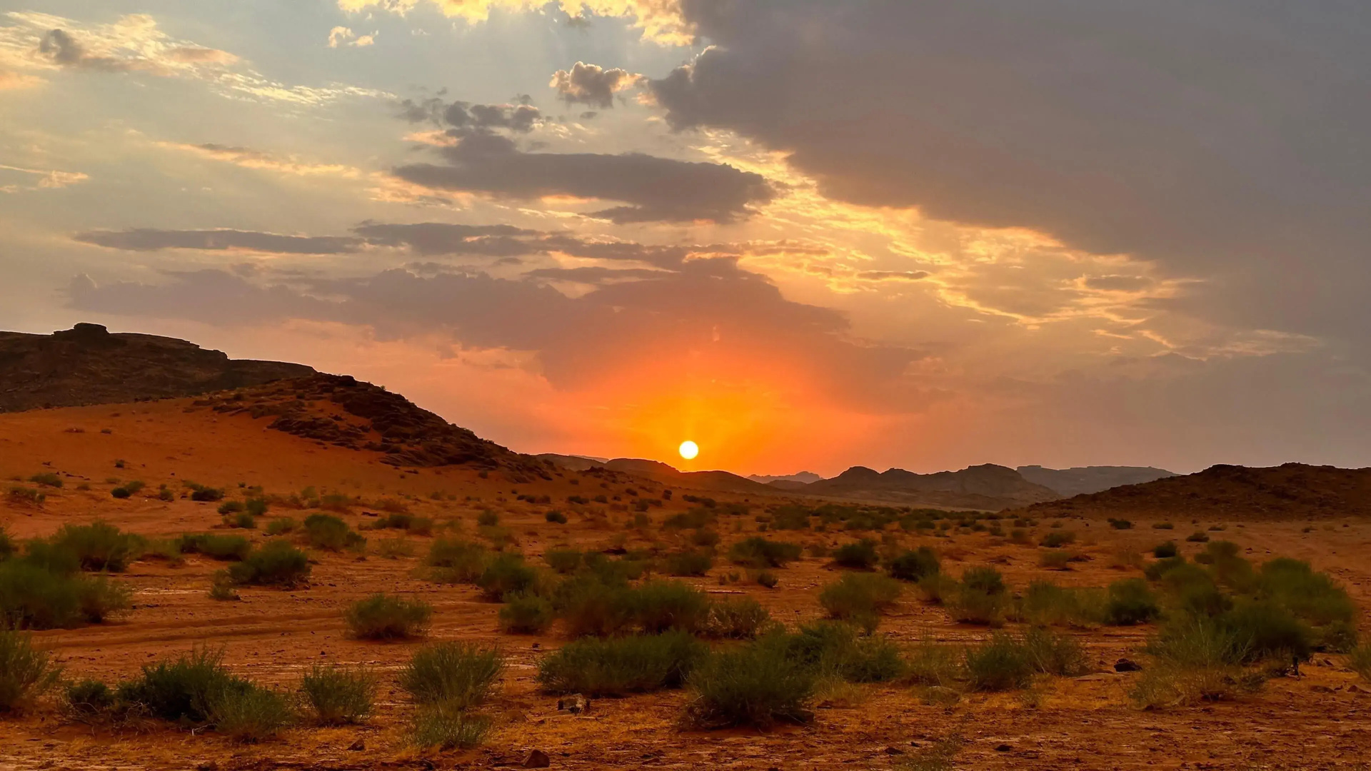 Bedouin Nomdas Adventures