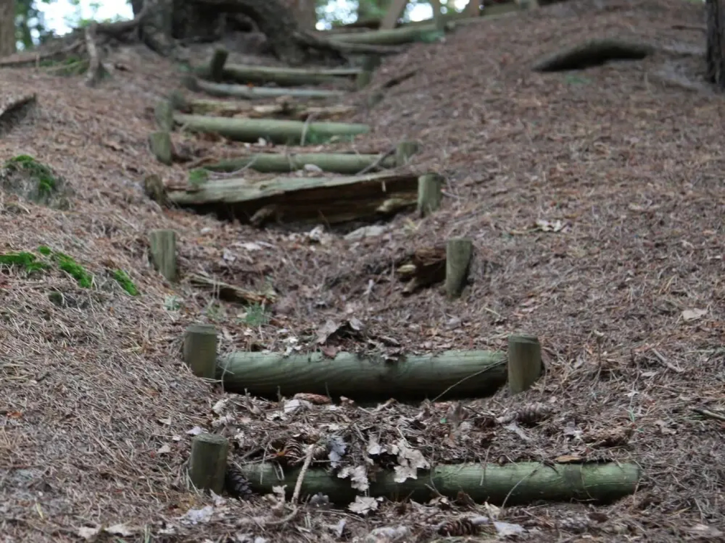 Romantic Villa With a Dishwasher, Near a National Park