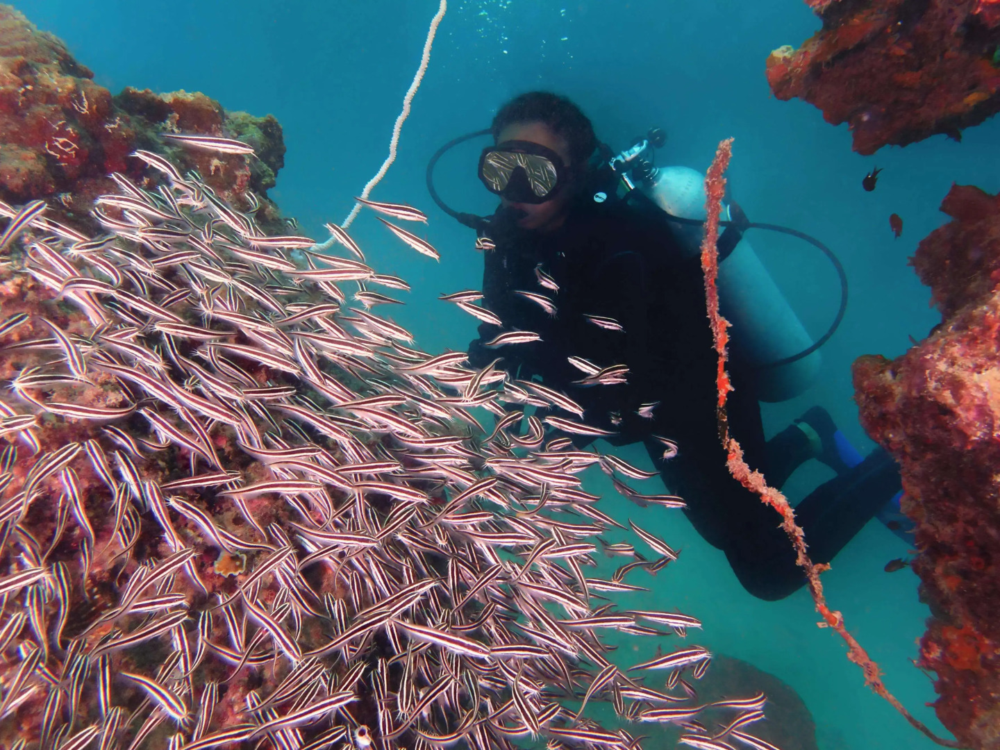 Gayana Marine Resort