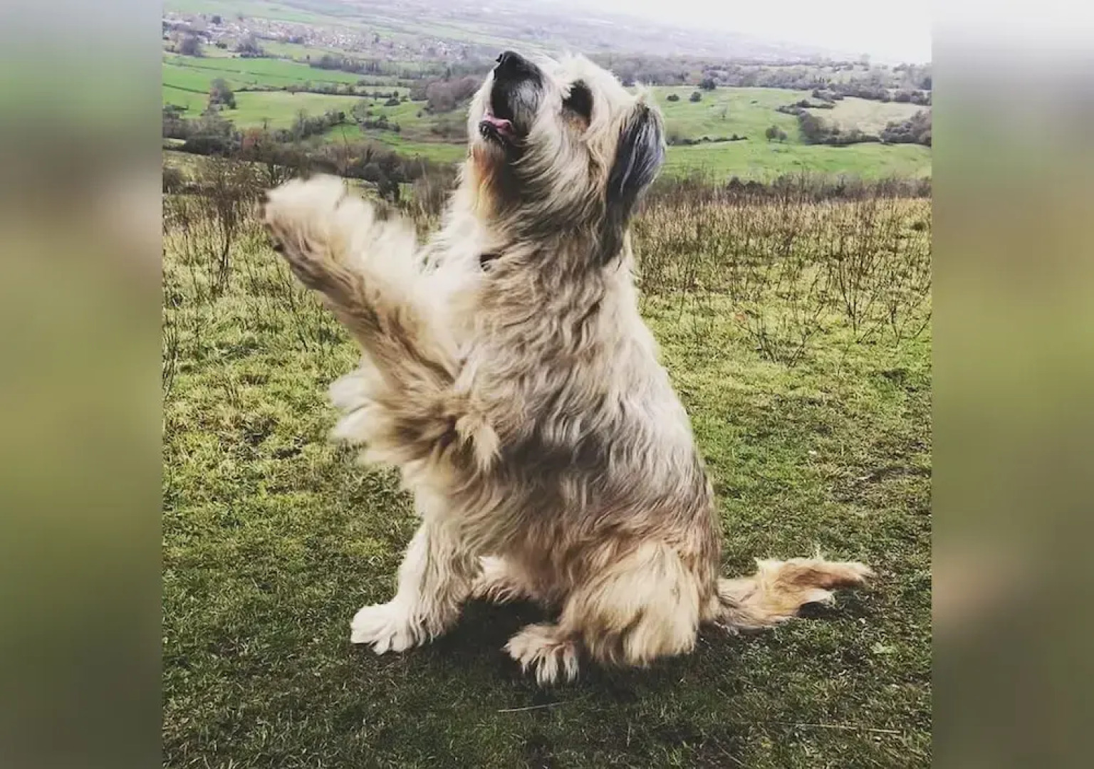 Spacious Homestay With Parking