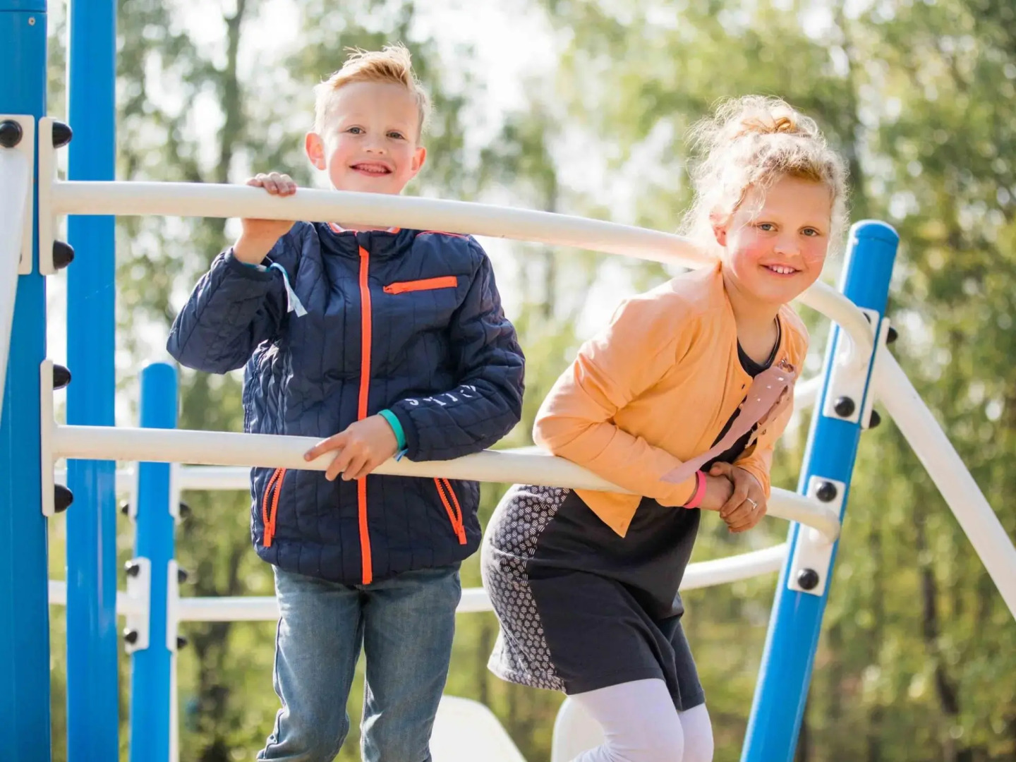 Modern chalet with a dishwasher, located in Park De Veluwe