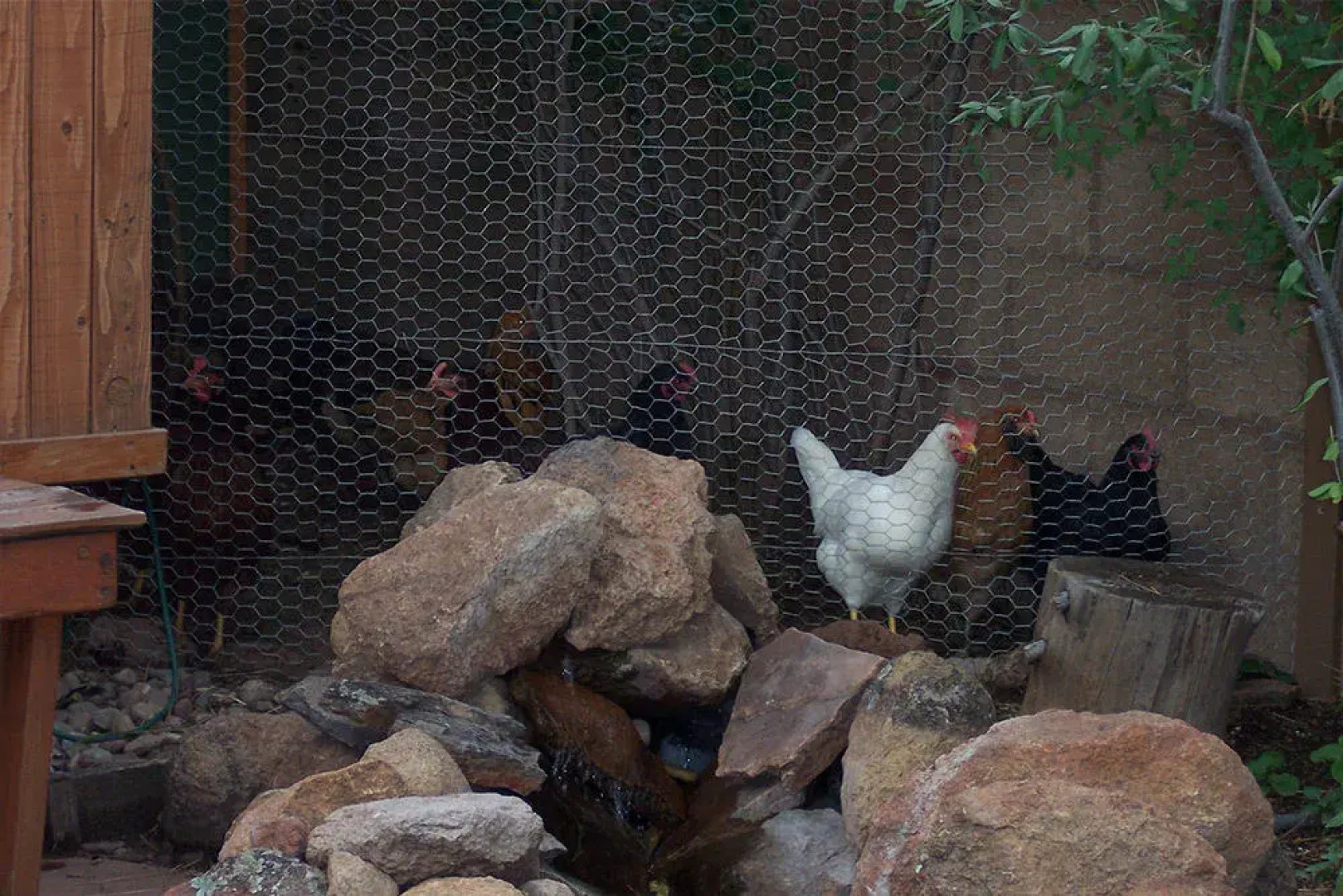 Elden Trails Bed and Breakfast