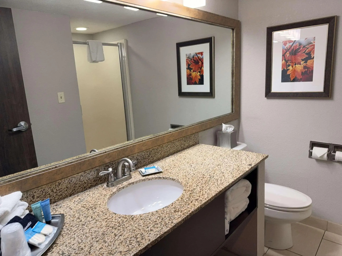 Branson Hillside Hotel