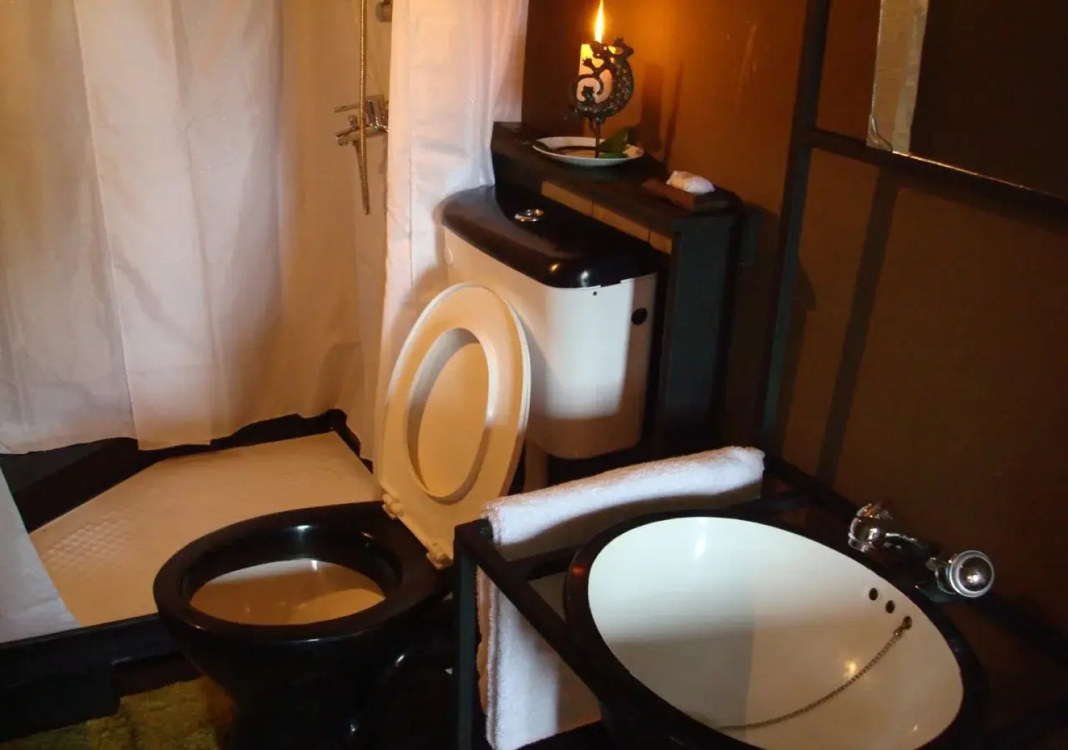 Explorer by Eco Team - Knuckles