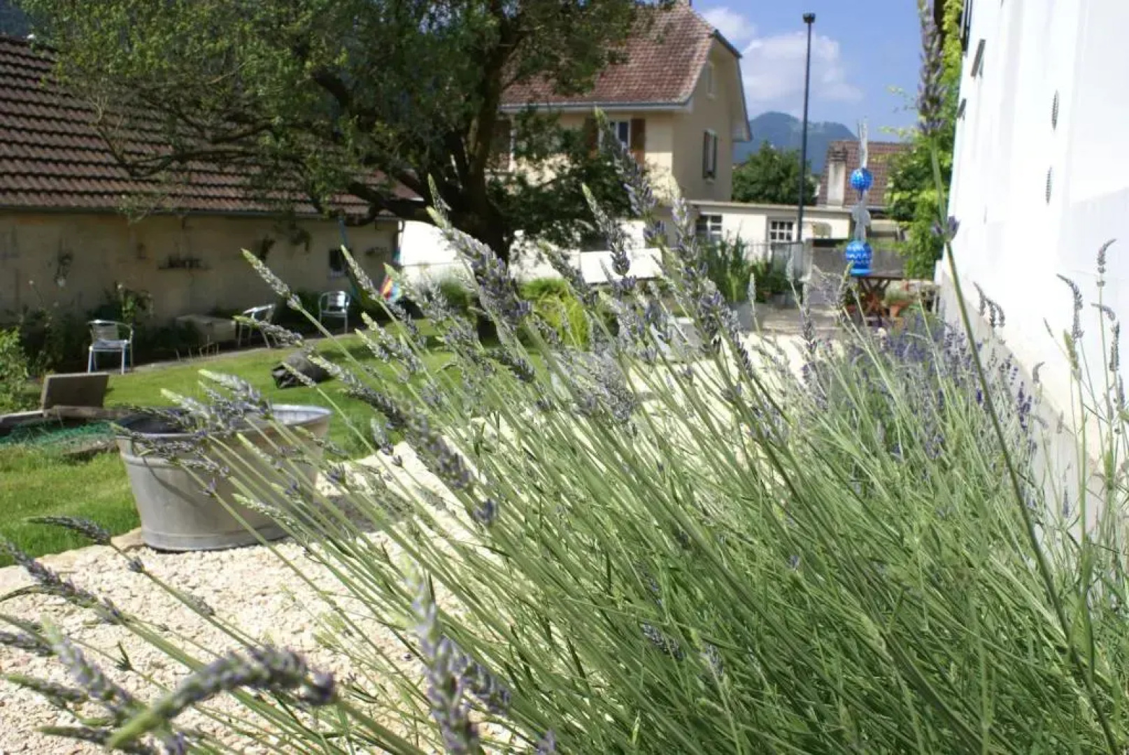 Carpe Diem - Bnb - Chambres dhôtes