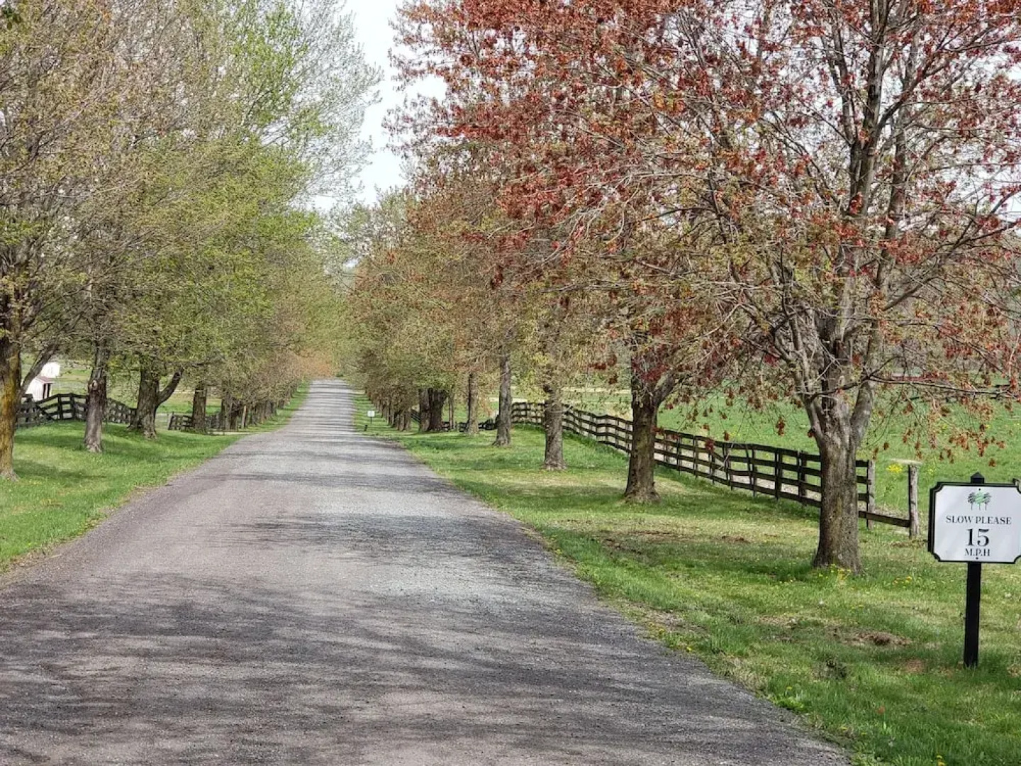 The Manor at Courtland Farm