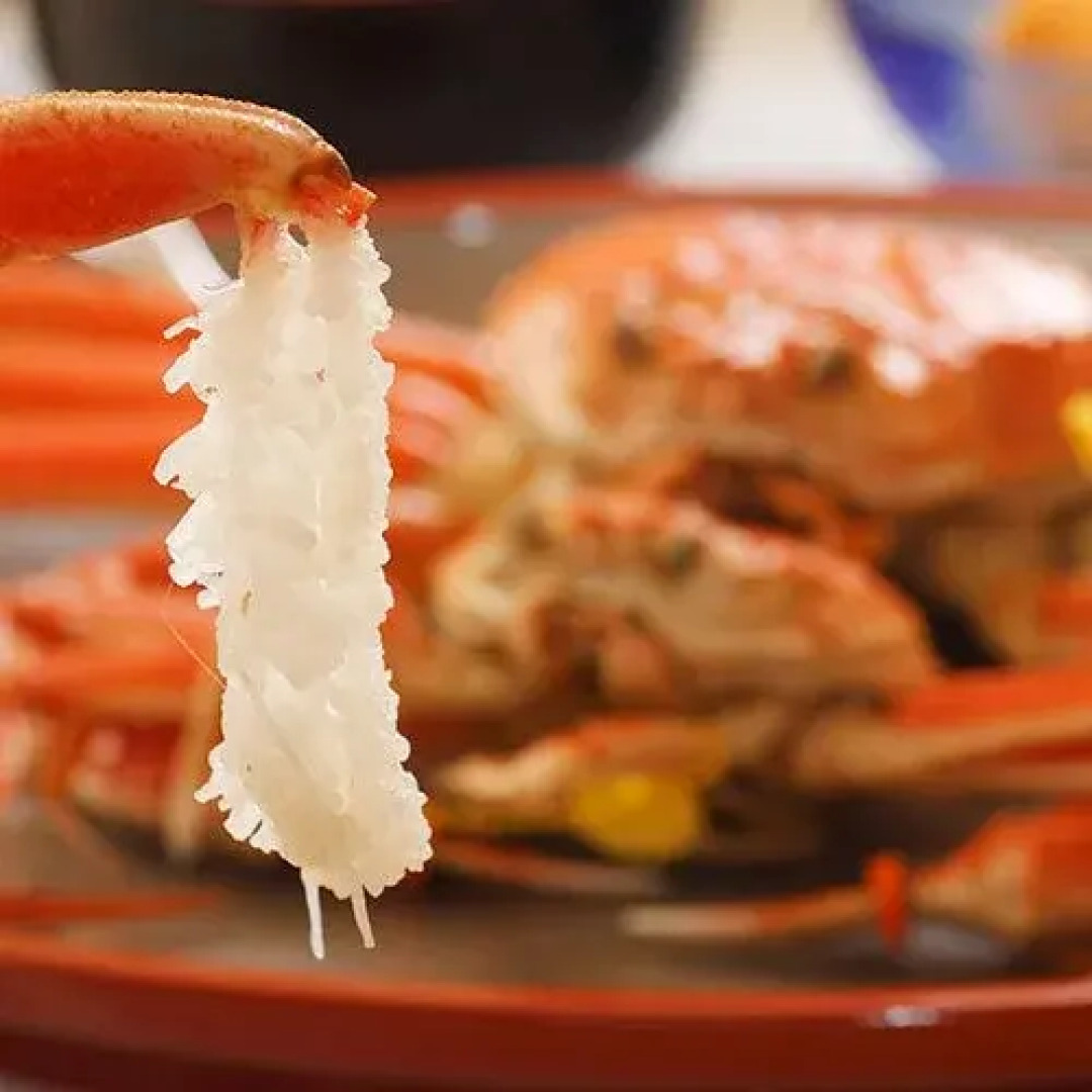 Echizentenkuu No Yado Suisenso Fuji