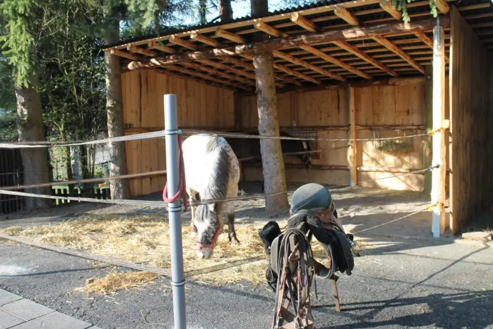 Ferienhaus "Kleiner Onkel"