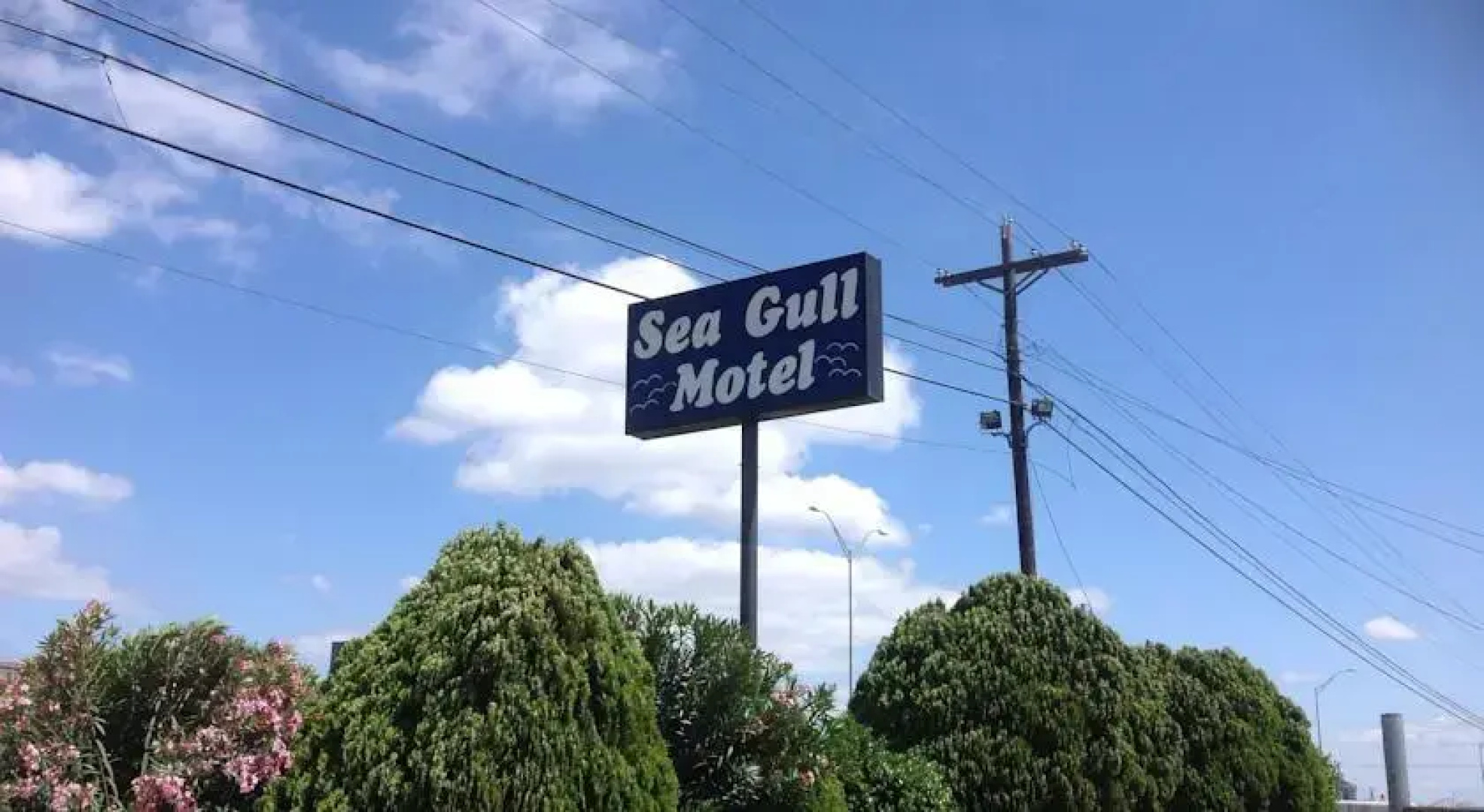 Seagull Motel