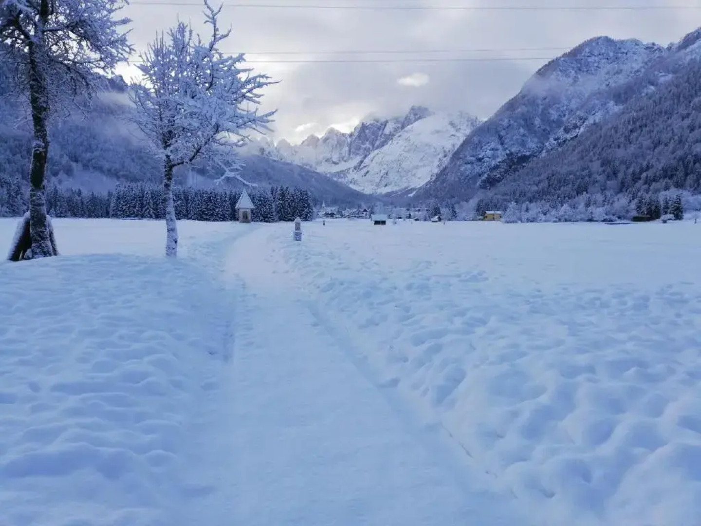 Affittacamere Krajnc