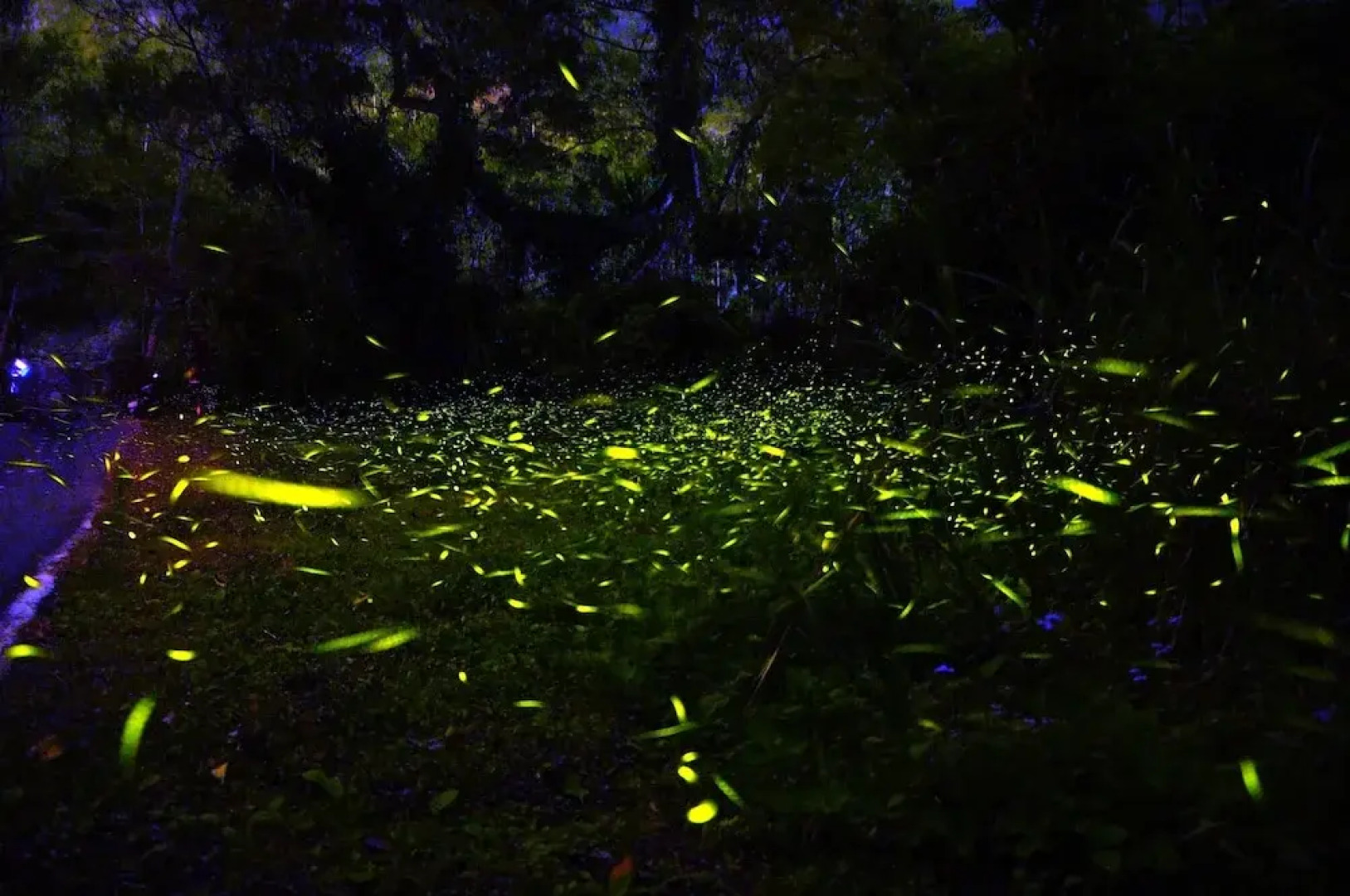 Ruili Meng Zongzhu Homestay