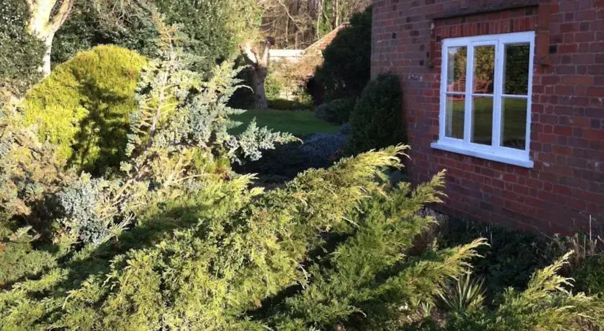 Thatched Farm Bed and Breakfast