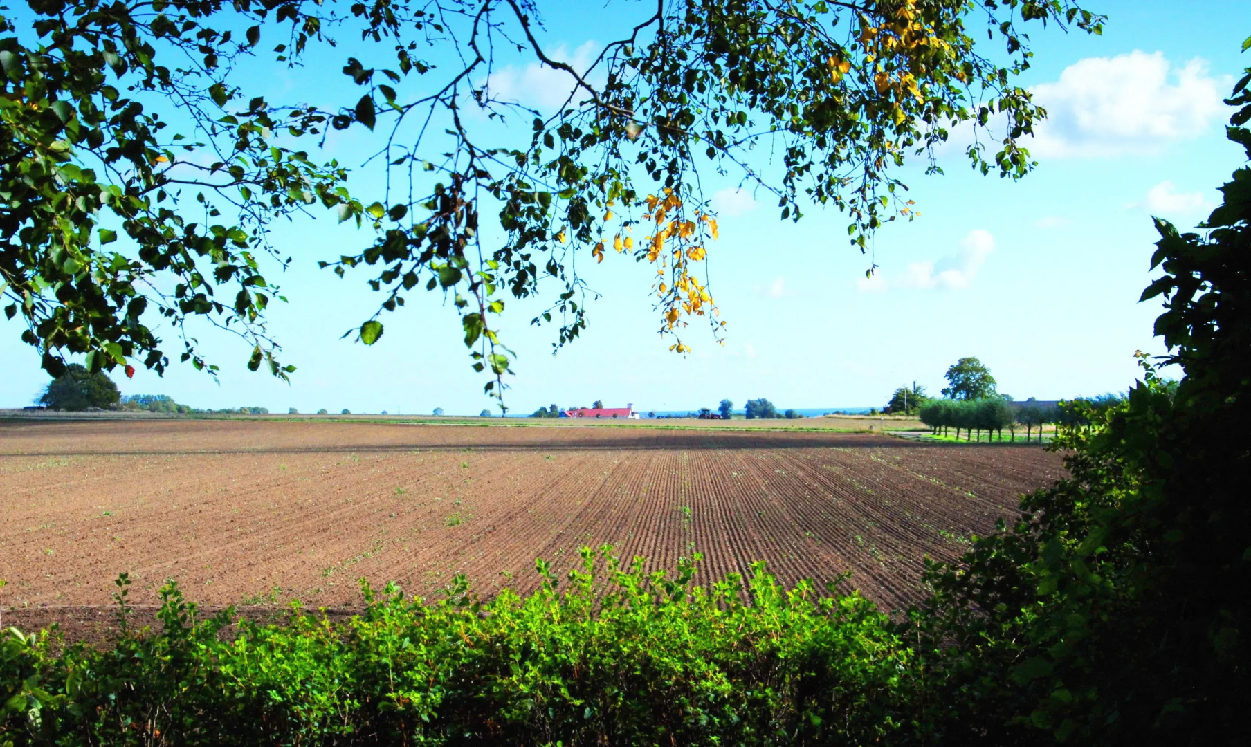 Lunkaberg Bed & Breakfast