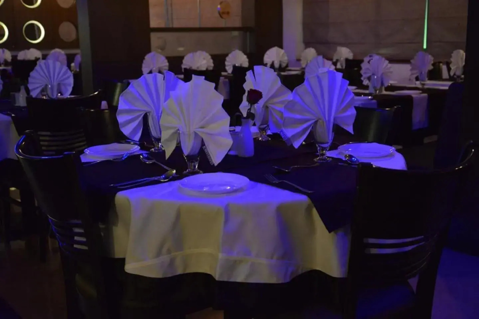 The Mercy Luxury Business Hotel