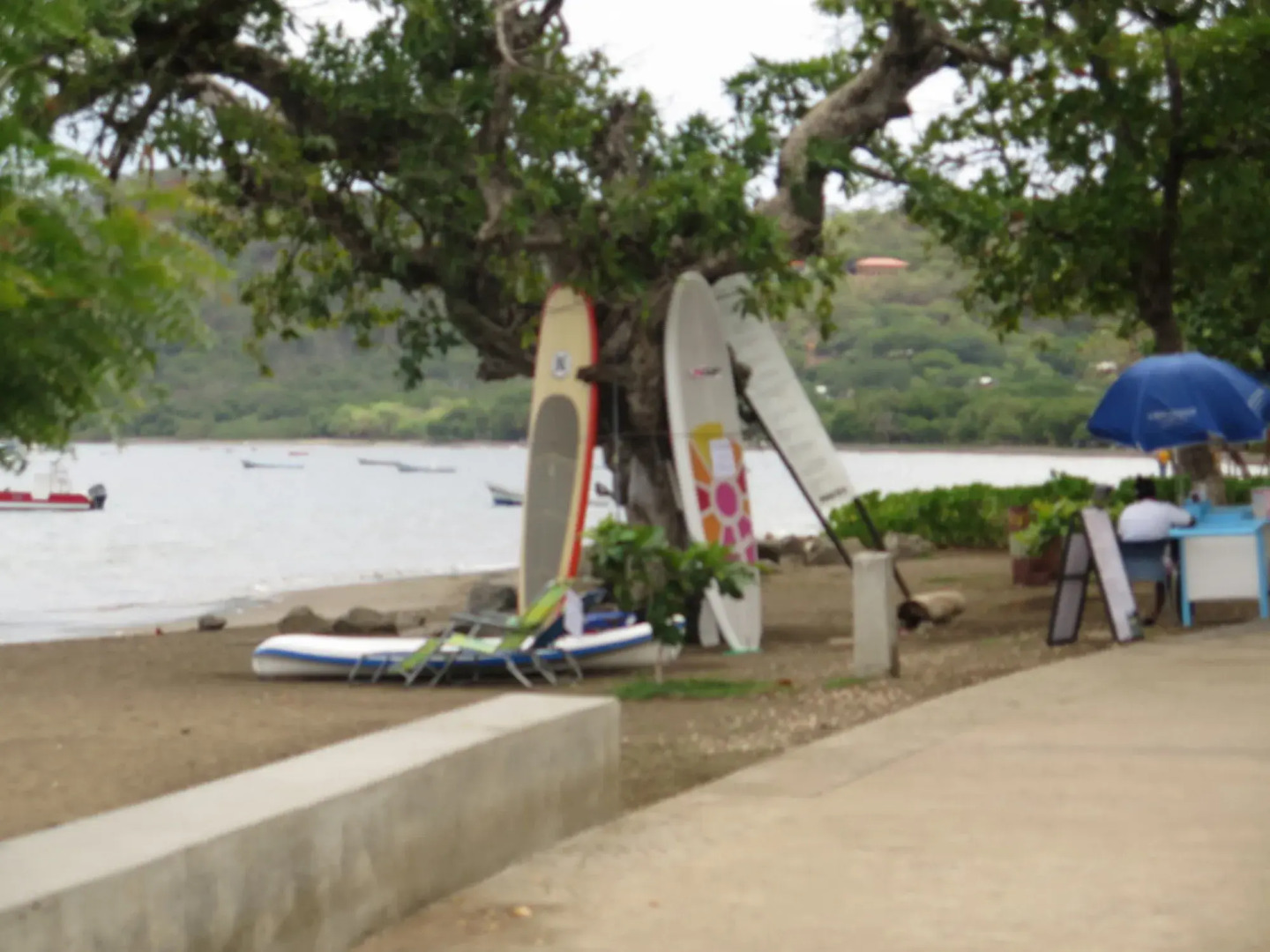 The Palms At Coco Beach