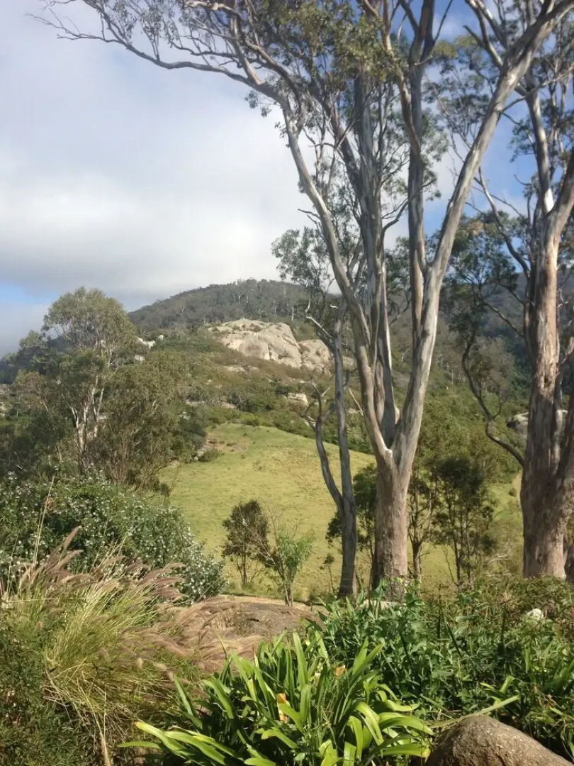 The Bryn At Tilba Family Cottage