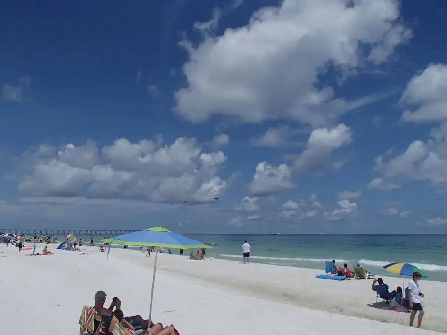 Sand Dollar by Surfside VR