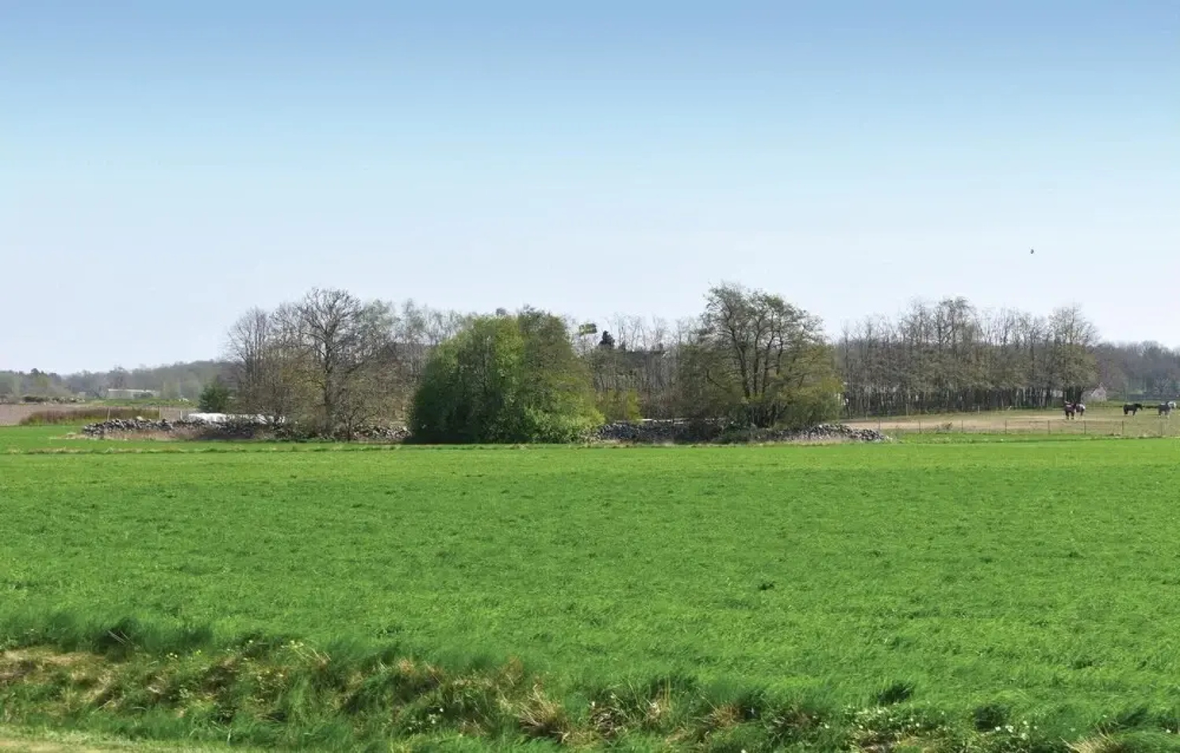 Awesome Home in Hörby With 1 Bedrooms and Sauna