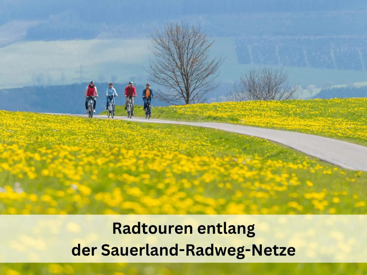 Komplettes Ferienhaus für bis zu 15 Personen mit großem Garten, Sauna-, Grill- und Fitnessbereich