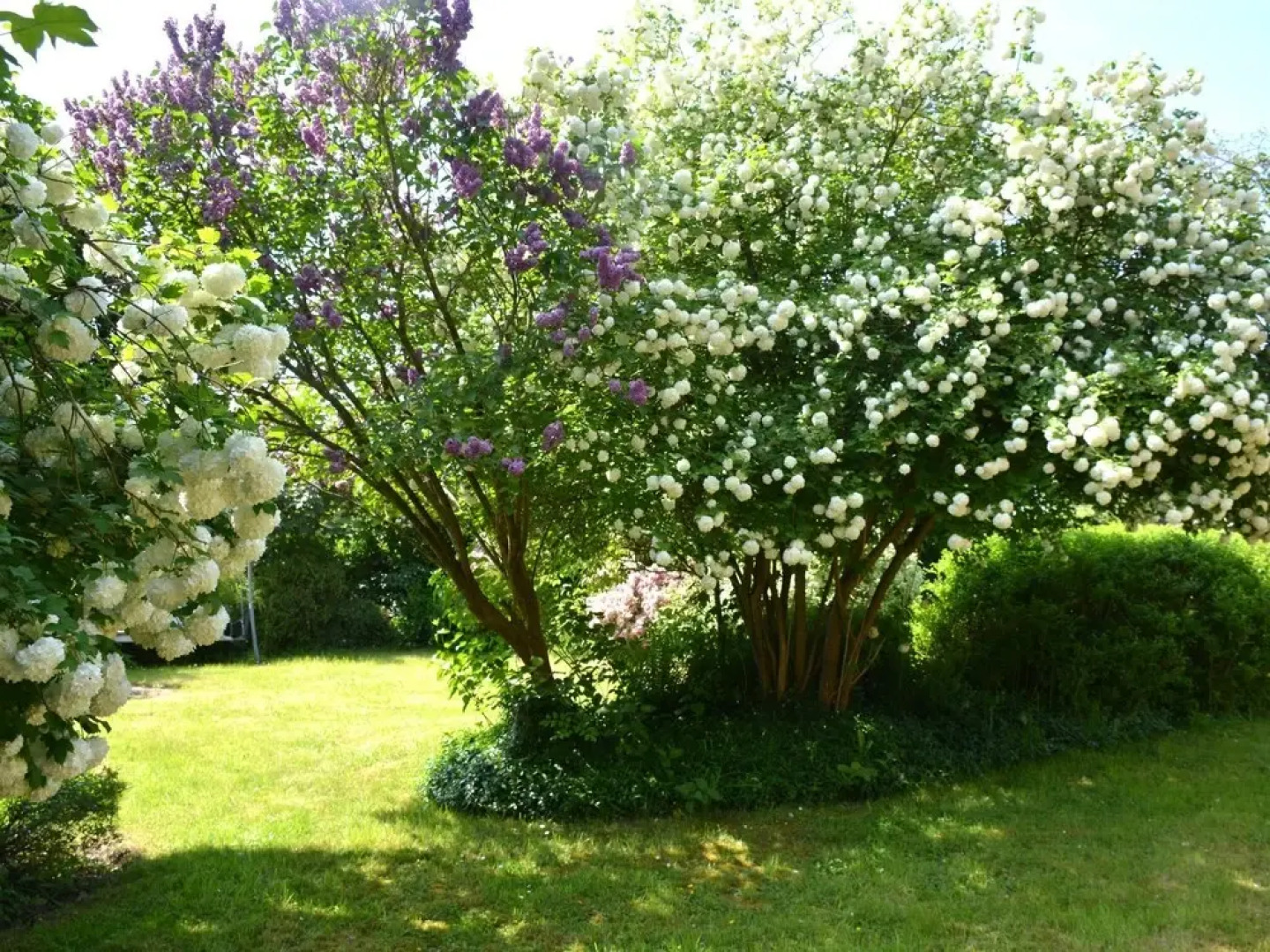 Group Escape by Molignee River