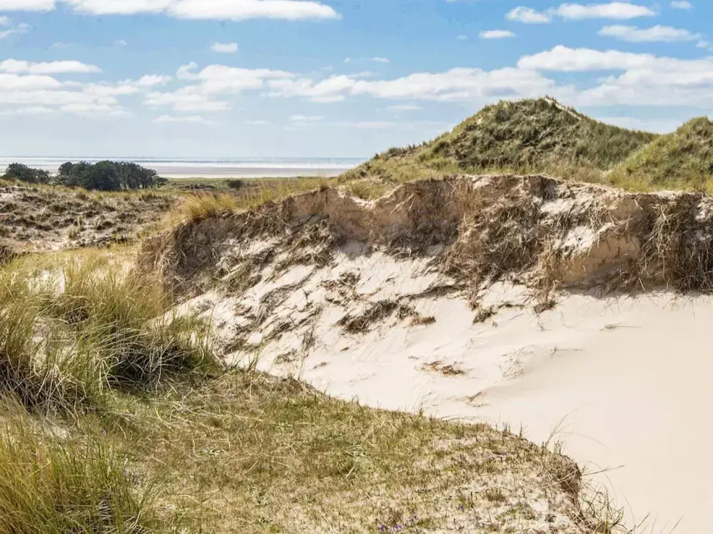 12 Person Holiday Home in Fano