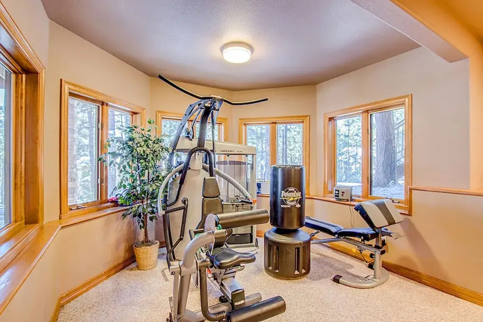 3bdwhere the Foxes Runluxurious, Usaf Academy