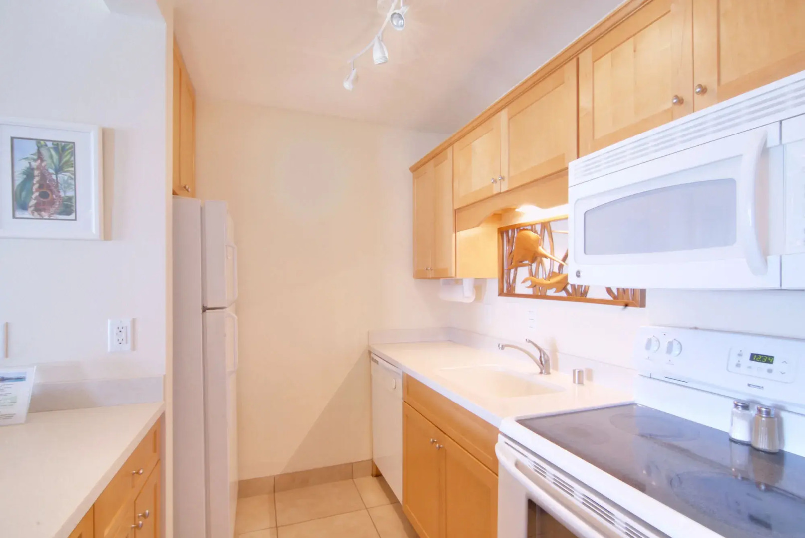 Napili Sunset on the Beach